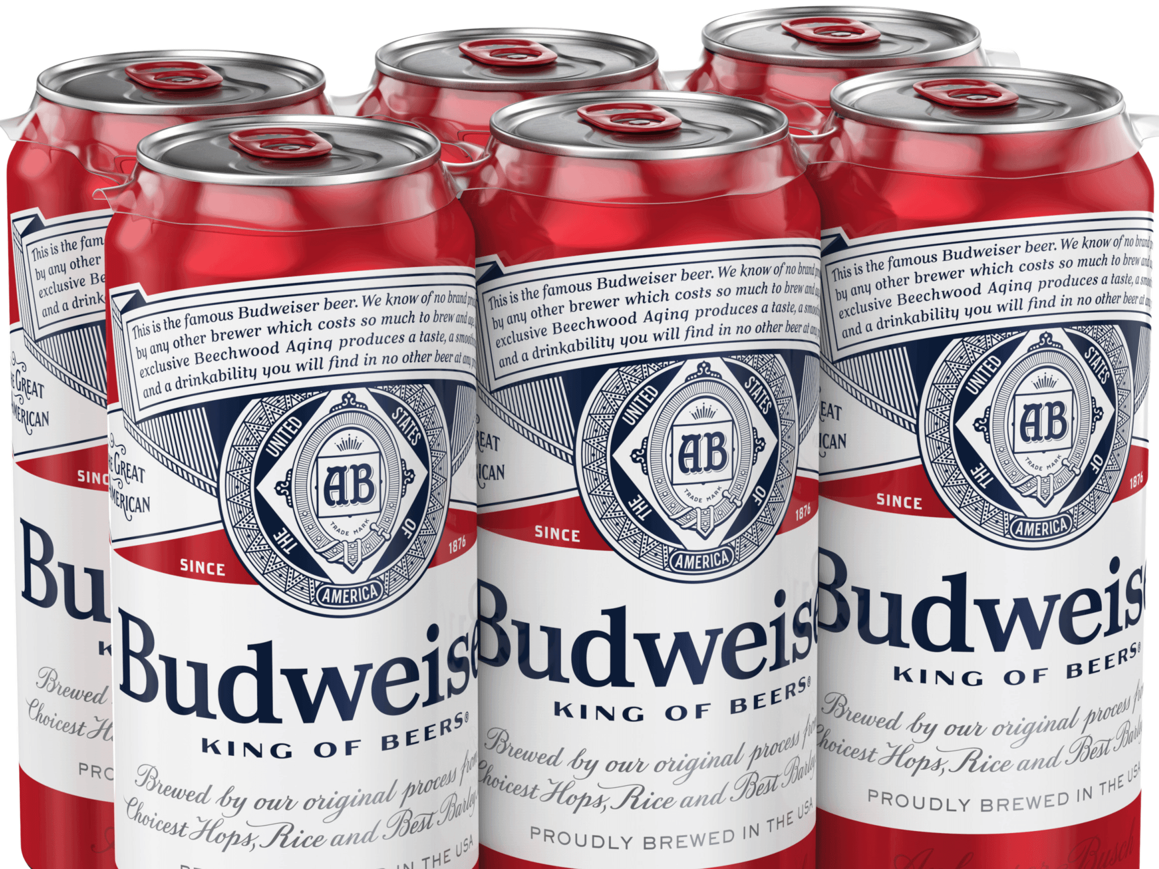 BUD 16OZ 6PK CANS